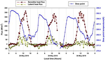 Characteristics of a pre-monsoon dryline atmospheric boundary layer over the rain shadow region: A case study